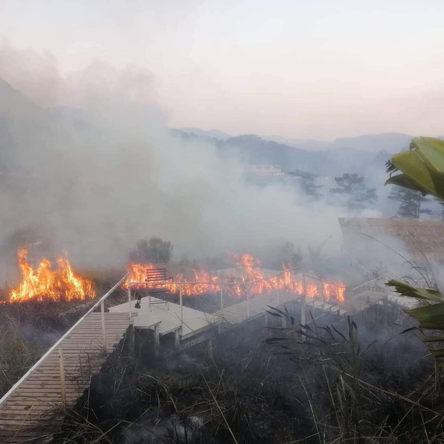 Homestay nổi tiếng nhất nhì ở Đà Lạt bị cháy lớn, nhiều du khách hoảng loạn