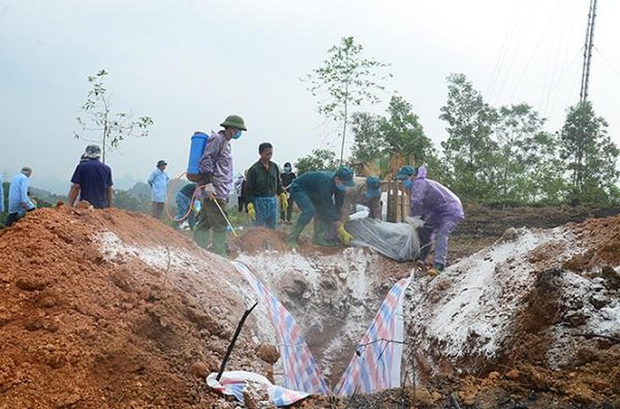 Tạm đình chỉ công tác 2 cán bộ thú y sai phạm trong kiểm dịch