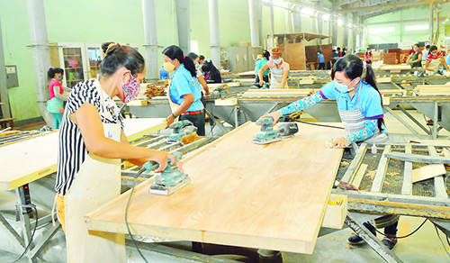 Xuất khẩu gỗ sẽ lập kỷ lục 11 tỷ USD?