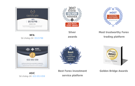 FT Markets, lựa chọn hàng đầu để đầu tư ngoại hối!