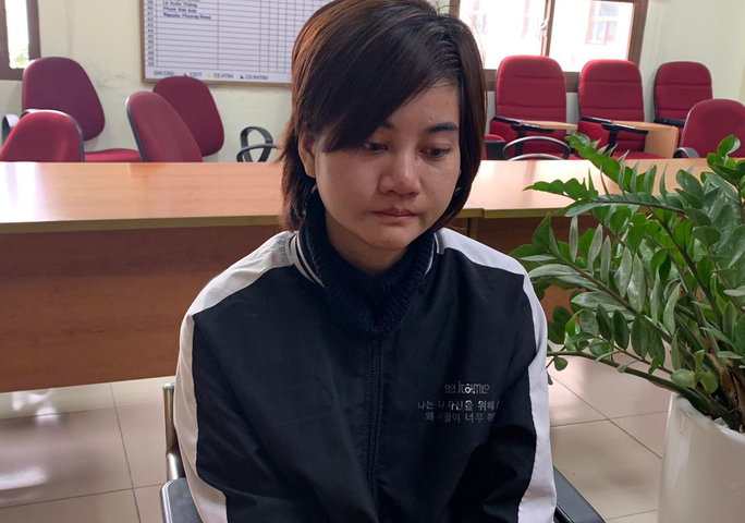 Đường dây mang thai hộ giá tới 750 triệu đồng/lần: Người