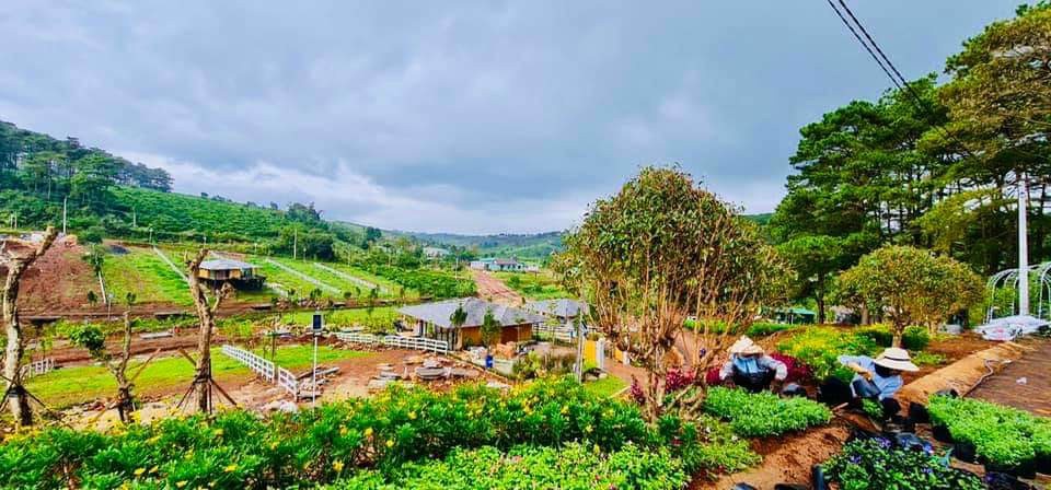 Vì sao sau mỗi đợt covid-19, giá nhà đất lại tăng