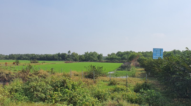 Doanh nghiệp hoang mang, lo sợ vì vụ án “Lừa đảo chiếm đoạt tài sản” của Tân Hiệp Phát chưa có hồi kết?