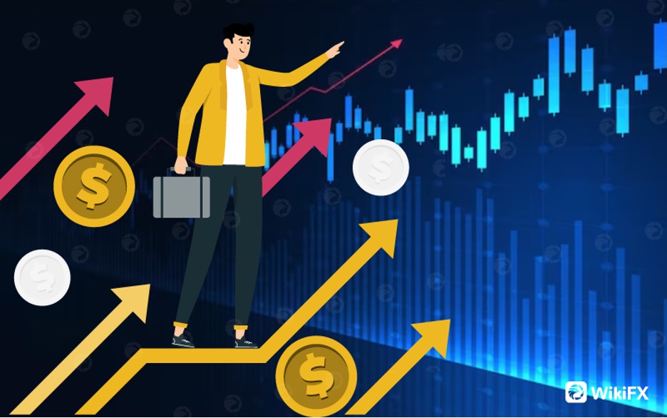 Sàn Forex là gì? Cách lựa chọn sàn Forex phù hợp nhất